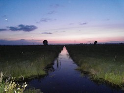 Avon Paranormal Team - The Sedgemoor Battlefield